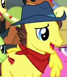 Size: 506x574 | Tagged: safe, derpibooru import, screencap, bandana baldwin, high stakes, earth pony, pony, appleoosa's most wanted, appleloosa resident, background pony, bandana, cowboy hat, cropped, hat, male, solo focus, stallion