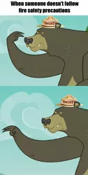 Size: 747x1483 | Tagged: 28 pranks later, bear, derpibooru import, edit, fire safety, harry, hat, i'm watching you, male, safe, smokey bear, solo