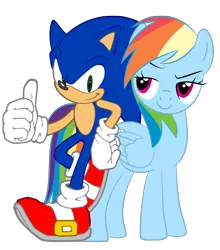 Size: 1982x2257 | Tagged: artist:sputnikmann, crossover, derpibooru import, rainbow dash, safe, simple background, sonic the hedgehog, sonic the hedgehog (series), transparent background