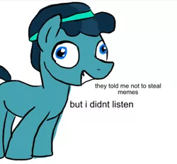 Size: 478x443 | Tagged: caption, changeling, crystal hoof, crystal hoof didn't listen, derpibooru import, disguise, disguised changeling, exploitable meme, i didn't listen, image macro, meme, safe, text, the times they are a changeling, thorax