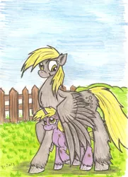 Size: 1573x2178 | Tagged: safe, artist:zubias, derpibooru import, derpy hooves, dinky hooves, pegasus, pony, chest fluff, equestria's best mother, female, fence, mare, traditional art, unshorn fetlocks