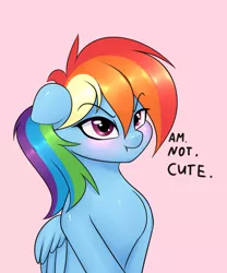 Size: 1000x1200 | Tagged: safe, artist:elzzombie, derpibooru import, rainbow dash, pegasus, pony, :t, angry, blatant lies, blushing, cute, dashabetes, female, floppy ears, glare, i'm not cute, looking at you, madorable, mare, pink background, scrunchy face, simple background, solo, truth, tsunderainbow, tsundere