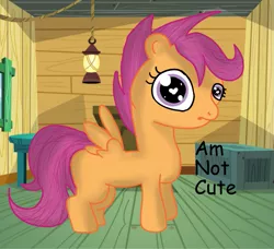 Size: 1047x956 | Tagged: artist:jonathan the awesome, clubhouse, comic sans, crusaders clubhouse, derpibooru import, heart eyes, i'm not cute, looking at you, safe, scootaloo, truth, wingding eyes