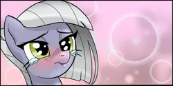 Size: 1919x957 | Tagged: safe, artist:pencils, derpibooru import, limestone pie, pony, comic:anon's pie adventure, blushing, comic, cropped, crying, cute, embarrassed, limabetes, lip bite, woobie