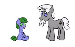 Size: 1280x800 | Tagged: safe, artist:saria the frost mage, derpibooru import, oc, oc:clover patch, oc:silverwind (a foal's adventure), unofficial characters only, earth pony, pony, unicorn, a foal's adventure, adult, beard, blank flank, child, cutie mark, cyoa, facial hair, female, filly, foal, horn, male, pirate, sitting, stallion, story included