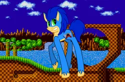 Size: 1466x964 | Tagged: safe, artist:crystalwolf167, derpibooru import, ponified, pony, crossover, green hill zone, sega, solo, sonic the hedgehog, sonic the hedgehog (series), video game