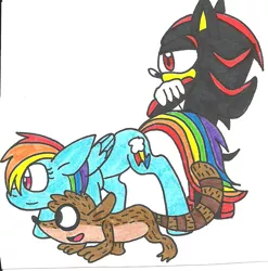 Size: 800x810 | Tagged: artist:cmara, crossover, derpibooru import, rainbow dash, regular show, rigby, safe, sega, shadow the hedgehog, sonic the hedgehog (series), traditional art, video game