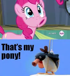 Size: 500x545 | Tagged: caption, derpibooru import, evil face, hub logo, image macro, meme, noot noot, pingu, pinkie pie, safe, text, that's my pony, that's my x