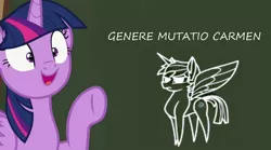 Size: 760x422 | Tagged: safe, derpibooru import, edit, edited screencap, screencap, twilight sparkle, twilight sparkle (alicorn), alicorn, pony, ppov, chalk drawing, chalkboard, dusk shine, exploitable meme, haycartes' method, latin, meme, paper dusk, paper twilight, prince dusk, rule 63, traditional art, twilight's blackboard