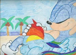 Size: 2340x1700 | Tagged: artist:superdupertails, crossover, derpibooru import, rainbow dash, safe, sonic the hedgehog, sonic the hedgehog (series), traditional art