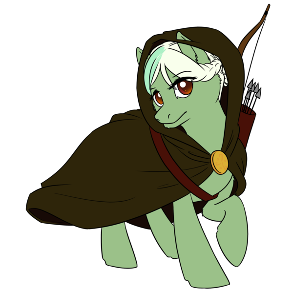 Size: 3000x3000 | Tagged: safe, artist:floots, derpibooru import, oc, oc:evergreen, unofficial characters only, pony, arrow, bow (weapon), braid, cloak, clothes, female, mare, quiver, solo, weapon