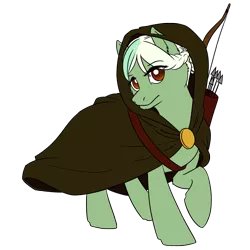 Size: 3000x3000 | Tagged: safe, artist:floots, derpibooru import, oc, oc:evergreen, unofficial characters only, pony, arrow, bow (weapon), braid, cloak, clothes, female, mare, quiver, solo, weapon