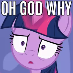 Size: 383x383 | Tagged: safe, derpibooru import, edit, edited screencap, screencap, twilight sparkle, twilight sparkle (alicorn), alicorn, pony, ppov, caption, image macro, meme, reaction image, solo, text, why