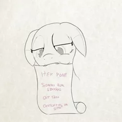 Size: 1600x1600 | Tagged: 8chan, apology, artist:anonymous, cyoa:sketchy, derpibooru import, floppy ears, monochrome, oc, oc:sketchy, oc:sketchy (8chan), /pone/, sad, safe, sign, solo, text, unofficial characters only