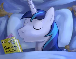 Size: 1100x863 | Tagged: 1trickpone's sleeping ponies, artist:1trick, book, derpibooru import, eyes closed, part of a series, part of a set, safe, shining armor, sleeping, solo