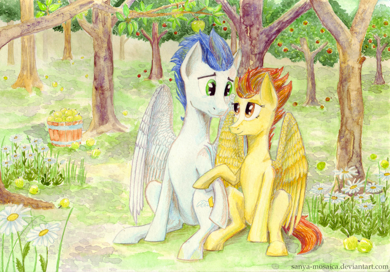 Size: 3508x2445 | Tagged: safe, artist:sanya-mosaica, derpibooru import, soarin', spitfire, pony, apple, apple tree, bucket, female, flower, food, forest, male, shipping, sitting, soarinfire, straight, traditional art, tree