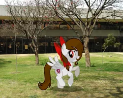 Size: 2521x2005 | Tagged: safe, artist:rsa.fim, derpibooru import, oc, oc:whisper hope, unofficial characters only, pegasus, pony, backyard, bow, instituto politécnico nacional, ipn, irl, mexican, mexico, photo, ponies in real life, school, solo, tree, unitárium, upiicsa