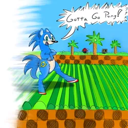 Size: 800x800 | Tagged: safe, artist:firenhooves, derpibooru import, ponified, pony, dialogue, green hill zone, sanic, solo, sonic the hedgehog, sonic the hedgehog (series), wat