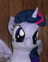 Size: 162x209 | Tagged: artist needed, safe, derpibooru import, twilight sparkle, twilight sparkle (alicorn), alicorn, pony, irl, photo, plushie, solo