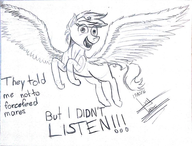 Size: 1024x778 | Tagged: safe, artist:scarlett-letter, derpibooru import, oc, unofficial characters only, pegasus, pony, caption, commission, exploitable meme, faic, flying, i didn't listen, image macro, majestic, meme, monochrome, solo, spread wings, text, traditional art, wings