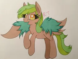 Size: 2600x1950 | Tagged: safe, artist:rainbowtashie, derpibooru import, oc, unofficial characters only, pegasus, pony, rowlet, pokémon, solo