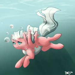 Size: 3000x3000 | Tagged: safe, artist:bean-sprouts, derpibooru import, ponified, corsola, pony, bubble, crossover, pokémon, solo, underwater