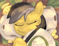 Size: 1100x862 | Tagged: 1trickpone's sleeping ponies, artist:1trick, daring do, derpibooru import, eyes closed, hat, pillow, safe, sleeping, solo