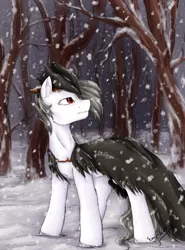 Size: 406x548 | Tagged: artist:emi~ket, clothes, derpibooru import, forest, oc, safe, snow, snowfall, solo, unofficial characters only, winter