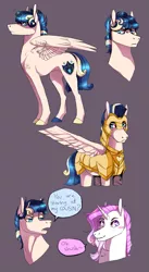 Size: 911x1666 | Tagged: safe, artist:zetapold, derpibooru import, oc, oc:staccato, oc:staccato dell'amore, unofficial characters only, pegasus, pony, curly hair, male, offspring, parent:princess cadance, parent:shining armor, parents:shiningcadance, reference sheet, stallion, standing