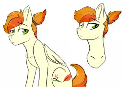 Size: 3700x2652 | Tagged: safe, artist:shiny-cooler, derpibooru import, oc, oc:flame feather, unofficial characters only, pegasus, pony, female, mare, offspring, parent:soarin', parent:spitfire, parents:soarinfire, solo