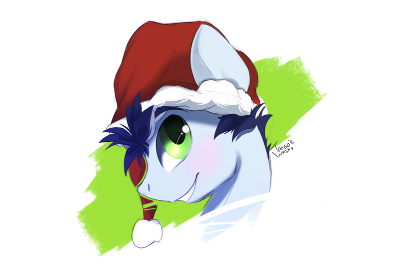 Size: 1518x1037 | Tagged: safe, artist:tangomangoes, derpibooru import, soarin', pony, bust, christmas, hat, holiday, portrait, santa hat, solo