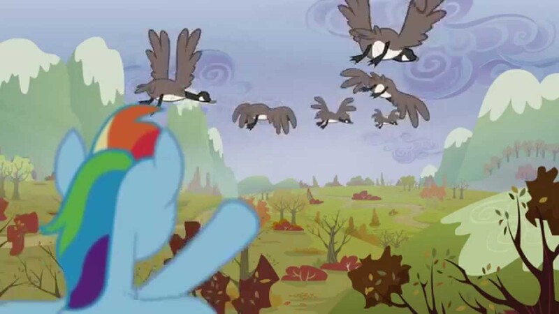 Size: 1280x720 | Tagged: safe, derpibooru import, screencap, rainbow dash, bird, canada goose, goose, pony, tanks for the memories, animal, flock, flying, i'll fly, solo