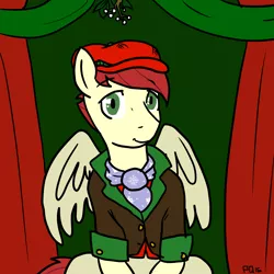 Size: 3600x3600 | Tagged: safe, artist:pony quarantine, derpibooru import, care package, special delivery, pegasus, pony, christmas, clothes, colored, festive, hat, hearth's warming, holiday, mistletoe, sitting, smiling, solo, vest, wings