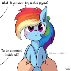 Size: 1920x1920 | Tagged: suggestive, artist:dsp2003, derpibooru import, edit, editor:korefox, rainbow dash, human, pony, blushing, comic, cute, holding a pony, i can't believe it's not tjpones, iwtcird, looking at you, meme, nervous, offscreen character, rdwytcih, simple background, single panel, smiling, style emulation, sweat, transparent background, tumblr, vulgar, what do you want, wide eyes