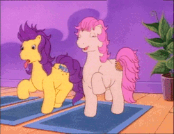 Size: 500x386 | Tagged: safe, derpibooru import, screencap, bon bon (g1), patch (g1), pony, bon bon's diary, my little pony tales, animated, dolly zoom, exercise, eyes closed, frazzled, g1, gif, happy, house plant, mat, panting, plant, skipping, surprised, tongue out, trotting, trotting in place, zoom