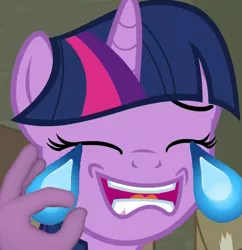 Size: 779x806 | Tagged: safe, derpibooru import, edit, edited screencap, screencap, twilight sparkle, pony, bust, crying, emoji, eyes closed, female, laughing, mare, open mouth, reaction image, smiling, solo, suddenly hands, tears of laughter, teary eyes, wat, 👌, 😂