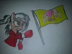 Size: 400x300 | Tagged: artist:milo(german), boxing gloves, clothes, derpibooru import, flag, gloves, jacket, oc, oc:uppercute, ponyville flag, safe, solo, traditional art, unofficial characters only