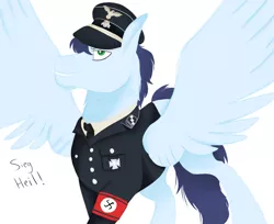 Size: 1700x1386 | Tagged: safe, artist:neonaarts, derpibooru import, soarin', pony, armband, nazi, nazi armband, nazipone, schutzstaffel, sieg heil, solo, spread wings, wings