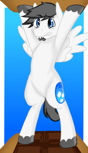 Size: 786x1366 | Tagged: safe, derpibooru import, oc, oc:marshmallow fluffbutt, unofficial characters only, pegasus, pony, beard, chocolate, crackers, facial hair, food, irony, male, s'mores, solo, stallion, struggle, worried