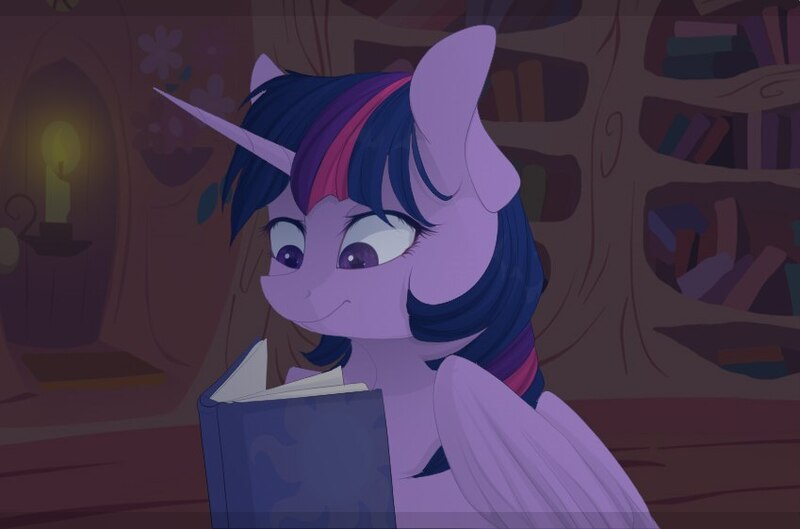 Size: 849x561 | Tagged: safe, artist:mrgdog, derpibooru import, twilight sparkle, twilight sparkle (alicorn), alicorn, pony, my little brony risovach, book, candle, reading, solo