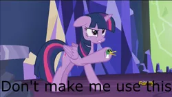 Size: 1920x1080 | Tagged: safe, derpibooru import, edit, edited screencap, editor:mrdoctorderpy, screencap, twilight sparkle, twilight sparkle (alicorn), alicorn, bird, duck, pony, what about discord?, angry, caption, discovery family logo, duck badge, image macro, meme, pointing, reaction image, solo, text