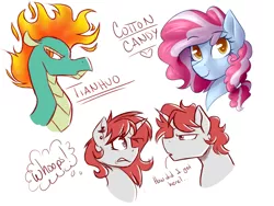 Size: 4000x3000 | Tagged: safe, artist:rubywave32, derpibooru import, tianhuo, oc, oc:cotton candy, oc:ruby, earth pony, pony, unicorn, them's fightin' herds, bust, community related, female, male, mane of fire, mare, offspring, parent:pinkie pie, parent:pokey pierce, parents:pokeypie, rule 63, simple background, stallion, white background