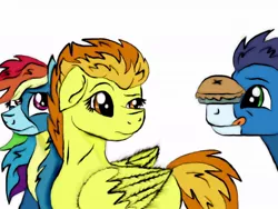 Size: 1024x770 | Tagged: safe, artist:soarindash8, derpibooru import, rainbow dash, soarin', spitfire, pegasus, pony, clothes, food, pie, simple background, that pony sure does love pies, uniform, white background, wonderbolts uniform