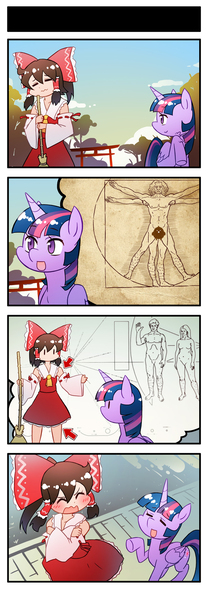 Size: 660x1867 | Tagged: safe, artist:sweetsound, derpibooru import, twilight sparkle, twilight sparkle (alicorn), alicorn, pony, 4koma, comic, crossover, hakurei reimu, pioneer plaque, touhou, vitruvian man