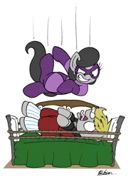 Size: 1451x2011 | Tagged: suggestive, artist:bobthedalek, derpibooru import, oc, oc:mixed melody, oc:octavia's father, oc:octavia's mother, oc:ostinato melody, unofficial characters only, pony, bathrobe, bed, clothes, domino mask, elbow drop, evil grin, falling, grin, literal minded, on back, open mouth, pajamas, pillow, robe, scared, screaming, shrunken pupils, simple background, slasher smile, smiling, sports, this will end in pain, this will end in tears, tongue out, white background, wrestling