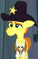 Size: 367x562 | Tagged: safe, derpibooru import, screencap, fetter keys, pony, appleoosa's most wanted, clothes, cowboy hat, hat, senior deputy, solo, vest