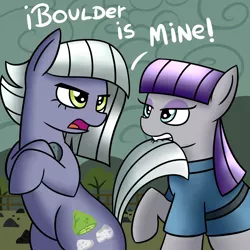 Size: 1700x1700 | Tagged: safe, artist:radek1212, derpibooru import, boulder (pet), limestone pie, maud pie, earth pony, pony, angry, biting, female, fight, looking at each other, love triangle, mare, pie sisters, rock farm, siblings, sisters, tail bite