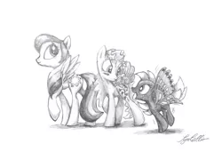 Size: 2709x1853 | Tagged: artist:syncallio, buzzer (g1), derpibooru import, g1, g1 to g4, generation leap, morning glory, pencil drawing, race swap, safe, starshine, summer wing ponies, traditional art