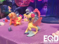 Size: 1200x900 | Tagged: applejack, brushable, canterlot & seaquestria castle, derpibooru import, equestria daily, fish, irl, jelly bee, my little pony: the movie, photo, playset, princess skystar, safe, sea filly, sea foal, seaponified, seapony applejack, seapony (g4), sea poppy, seashell, species swap, toy, toy fair, toy fair 2017