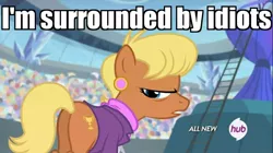 Size: 1100x618 | Tagged: safe, derpibooru import, edit, edited screencap, screencap, ms. harshwhinny, earth pony, pony, equestria games (episode), all new, annoyed, butt, caption, hub logo, i'm surrounded by idiots, image macro, meme, plot, reaction image, text